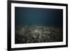 Underwater Shoot of a Dead Sea Bottom with Remains of Coral Reef-Dudarev Mikhail-Framed Photographic Print