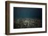 Underwater Shoot of a Dead Sea Bottom with Remains of Coral Reef-Dudarev Mikhail-Framed Photographic Print