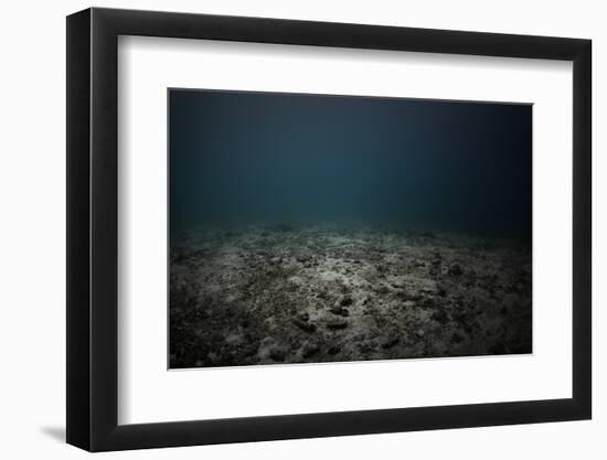 Underwater Shoot of a Dead Sea Bottom with Remains of Coral Reef-Dudarev Mikhail-Framed Photographic Print