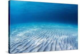 Underwater Shoot of an Infinite Sandy Sea Bottom with Clear Blue Water and Waves on its Surface-Dudarev Mikhail-Stretched Canvas