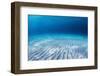 Underwater Shoot of an Infinite Sandy Sea Bottom with Clear Blue Water and Waves on its Surface-Dudarev Mikhail-Framed Photographic Print