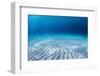 Underwater Shoot of an Infinite Sandy Sea Bottom with Clear Blue Water and Waves on its Surface-Dudarev Mikhail-Framed Photographic Print