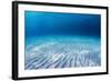 Underwater Shoot of an Infinite Sandy Sea Bottom with Clear Blue Water and Waves on its Surface-Dudarev Mikhail-Framed Photographic Print