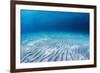 Underwater Shoot of an Infinite Sandy Sea Bottom with Clear Blue Water and Waves on its Surface-Dudarev Mikhail-Framed Photographic Print