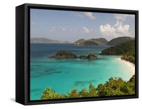 Underwater Snorkeling Trail, St John, United States Virgin Islands, USA, US Virgin Islands-Trish Drury-Framed Stretched Canvas