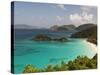 Underwater Snorkeling Trail, St John, United States Virgin Islands, USA, US Virgin Islands-Trish Drury-Stretched Canvas