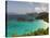 Underwater Snorkeling Trail, St John, United States Virgin Islands, USA, US Virgin Islands-Trish Drury-Stretched Canvas