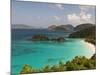 Underwater Snorkeling Trail, St John, United States Virgin Islands, USA, US Virgin Islands-Trish Drury-Mounted Photographic Print