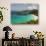 Underwater Snorkeling Trail, St John, United States Virgin Islands, USA, US Virgin Islands-Trish Drury-Photographic Print displayed on a wall