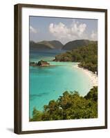 Underwater Snorkeling Trail, St John, United States Virgin Islands, USA, US Virgin Islands-Trish Drury-Framed Photographic Print