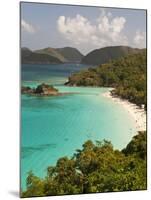 Underwater Snorkeling Trail, St John, United States Virgin Islands, USA, US Virgin Islands-Trish Drury-Mounted Photographic Print