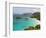Underwater Snorkeling Trail, St John, United States Virgin Islands, USA, US Virgin Islands-Trish Drury-Framed Photographic Print