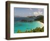 Underwater Snorkeling Trail, St John, United States Virgin Islands, USA, US Virgin Islands-Trish Drury-Framed Photographic Print