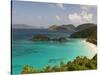 Underwater Snorkeling Trail, St John, United States Virgin Islands, USA, US Virgin Islands-Trish Drury-Stretched Canvas