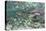 Underwater Spawning Salmon, Alaska-Paul Souders-Stretched Canvas