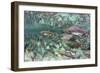 Underwater Spawning Salmon, Alaska-Paul Souders-Framed Photographic Print