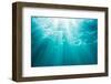Underwater sunbeams, Kailua Bay, Oahu, Hawaii-Mark A Johnson-Framed Photographic Print