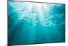 Underwater sunbeams, Kailua Bay, Oahu, Hawaii-Mark A Johnson-Mounted Photographic Print