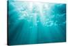 Underwater sunbeams, Kailua Bay, Oahu, Hawaii-Mark A Johnson-Stretched Canvas