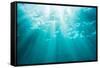 Underwater sunbeams, Kailua Bay, Oahu, Hawaii-Mark A Johnson-Framed Stretched Canvas