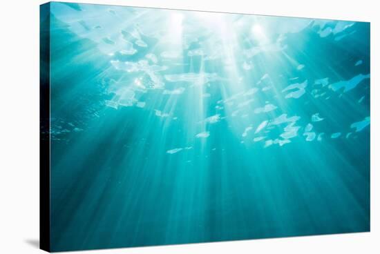 Underwater sunbeams, Kailua Bay, Oahu, Hawaii-Mark A Johnson-Stretched Canvas