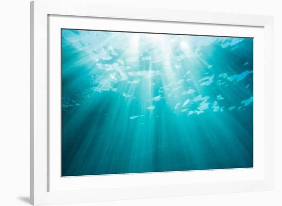 Underwater sunbeams, Kailua Bay, Oahu, Hawaii-Mark A Johnson-Framed Photographic Print