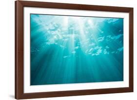 Underwater sunbeams, Kailua Bay, Oahu, Hawaii-Mark A Johnson-Framed Photographic Print