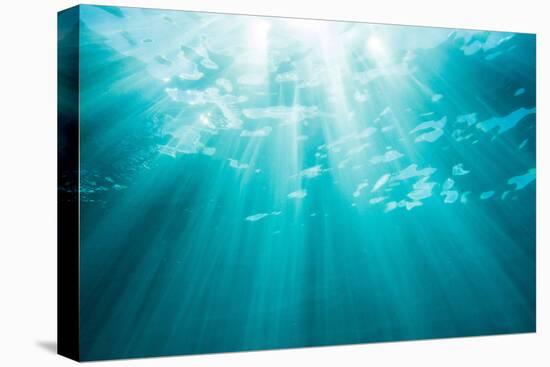 Underwater sunbeams, Kailua Bay, Oahu, Hawaii-Mark A Johnson-Stretched Canvas