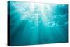 Underwater sunbeams, Kailua Bay, Oahu, Hawaii-Mark A Johnson-Stretched Canvas