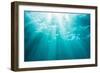 Underwater sunbeams, Kailua Bay, Oahu, Hawaii-Mark A Johnson-Framed Photographic Print