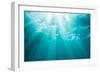 Underwater sunbeams, Kailua Bay, Oahu, Hawaii-Mark A Johnson-Framed Photographic Print