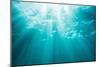 Underwater sunbeams, Kailua Bay, Oahu, Hawaii-Mark A Johnson-Mounted Photographic Print