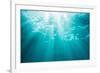 Underwater sunbeams, Kailua Bay, Oahu, Hawaii-Mark A Johnson-Framed Photographic Print