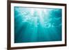 Underwater sunbeams, Kailua Bay, Oahu, Hawaii-Mark A Johnson-Framed Photographic Print