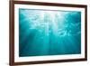 Underwater sunbeams, Kailua Bay, Oahu, Hawaii-Mark A Johnson-Framed Photographic Print