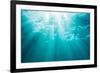 Underwater sunbeams, Kailua Bay, Oahu, Hawaii-Mark A Johnson-Framed Photographic Print