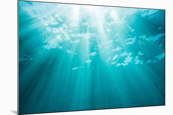 Underwater sunbeams, Kailua Bay, Oahu, Hawaii-Mark A Johnson-Mounted Photographic Print