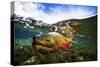 Underwater View of a Male Brook Trout in Patagonia Argentina-Matt Jones-Stretched Canvas