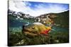 Underwater View of a Male Brook Trout in Patagonia Argentina-Matt Jones-Stretched Canvas