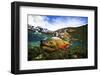 Underwater View of a Male Brook Trout in Patagonia Argentina-Matt Jones-Framed Photographic Print