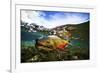 Underwater View of a Male Brook Trout in Patagonia Argentina-Matt Jones-Framed Photographic Print