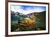 Underwater View of a Male Brook Trout in Patagonia Argentina-Matt Jones-Framed Photographic Print