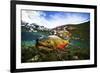 Underwater View of a Male Brook Trout in Patagonia Argentina-Matt Jones-Framed Photographic Print