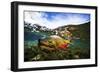 Underwater View of a Male Brook Trout in Patagonia Argentina-Matt Jones-Framed Photographic Print