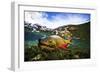 Underwater View of a Male Brook Trout in Patagonia Argentina-Matt Jones-Framed Photographic Print