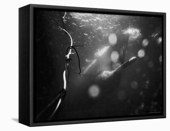 Underwater View of a Torpedo Being Launched from a Submarine-J^ R^ Eyerman-Framed Stretched Canvas