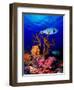 Underwater View of Bristly Puffer Fish (Arothron Hispidus) with Triggerfish and Anthias Fishes-null-Framed Photographic Print