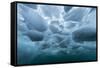 Underwater view of dense brash ice at Cuverville Island, Ererra Channel, Antarctica, Polar Regions-Michael Nolan-Framed Stretched Canvas