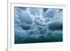 Underwater view of dense brash ice at Cuverville Island, Ererra Channel, Antarctica, Polar Regions-Michael Nolan-Framed Photographic Print