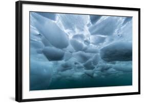 Underwater view of dense brash ice at Cuverville Island, Ererra Channel, Antarctica, Polar Regions-Michael Nolan-Framed Photographic Print